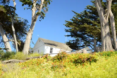 DSC_2552 (Large).JPG